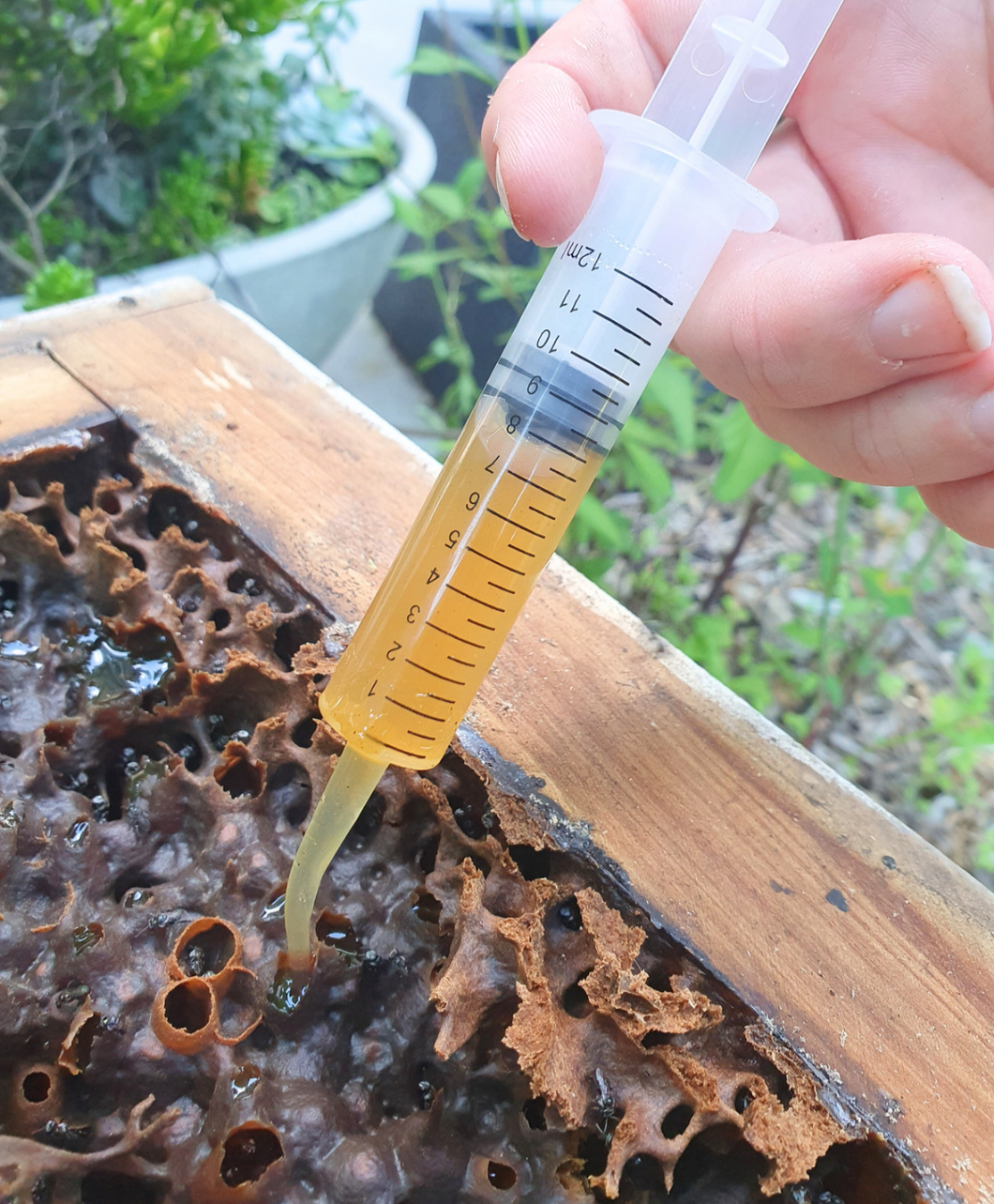 Gentle honey collector syringe